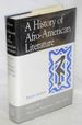 A History of Afro-American Literature: Volume 1, the Long Beginning 1746-1895