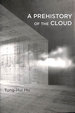 A Prehistory of the Cloud