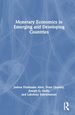 Monetary Economics in Emerging and Developing Countries