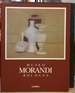 Museo Morandi, Bologna: Il Catalogo (Italian Edition)