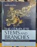 The Complete Stems and Branches: Time and Space in Traditional Acupuncture, 1e