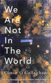 We Are Not in the World