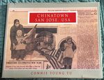 Chinatown San Jose, Usa