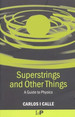 Superstrings and Other Things: a Guide to Physics