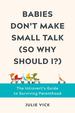 Babies Don't Make Small Talk (So Why Should I? ): the Introvert's Guide to Surviving Parenthood