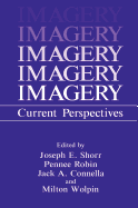 Imagery: Current Perspectives