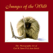 Images of the Wild
