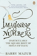 Imagining Numbers: (Particularly the Square Root of Minus Fifteen)
