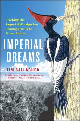 Imperial Dreams: Tracking the Imperial Woodpecker Through the Wild - Gallagher, Tim