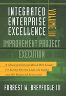 Improvement Project Execution: A Management and Black Belt Guide for Going Beyond Lean Six Sigma and the Balanced Scorecard