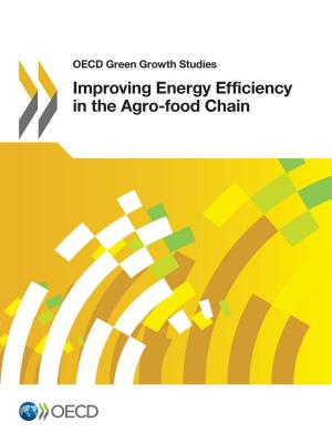 Improving Energy Efficiency in the Agro-Food Chain - Organization for Economic Cooperation and Development (Editor)