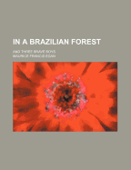 In a Brazilian Forest: And Three Brave Boys