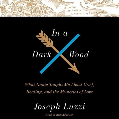 In a Dark Wood: What Dante Taught Me about Grief, Healing, and the Mysteries of Love - Luzzi, Joseph, and Adamson, Rick (Read by)