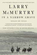 In a Narrow Grave: Essays on Texas