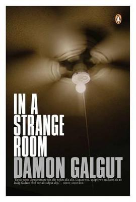 In a strange room - Galgut, Damon