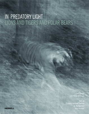 In Predatory Light: Lions and Tigers and Polar Bears - Christo, Cyril (Photographer), and Wilkinson, Marie (Photographer)