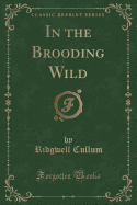 In the Brooding Wild (Classic Reprint)