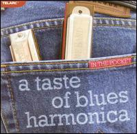 In the Pocket: A Taste of Blues Harmonica - Various Artists