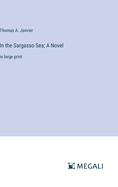 In the Sargasso Sea; A Novel: in large print