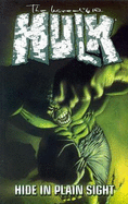 Incredible Hulk: Hide in Plain Sight