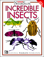 Incredible Insects