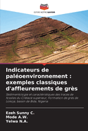 Indicateurs de pal?oenvironnement: exemples classiques d'affleurements de gr?s