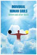 Individual Human Soul: Before and After Death