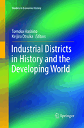 Industrial Districts in History and the Developing World