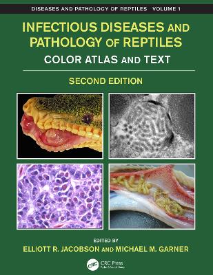 Infectious Diseases and Pathology of Reptiles: Color Atlas and Text, Diseases and Pathology of Reptiles Volume 1 - Jacobson, Elliott R (Editor), and Garner, Michael M (Editor)