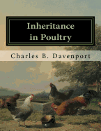 Inheritance in Poultry
