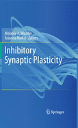 Inhibitory Synaptic Plasticity