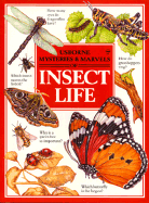 Insect Life