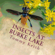 Insects at Burke Lake: A Picture Book for Children of All Ages