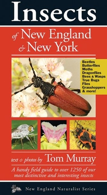 Insects of New England & New York - Murray, Tom