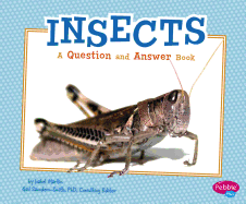 Insects QandA