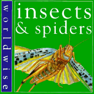 Insects & Spiders