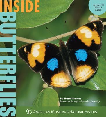 Inside Butterflies - Davies, Hazel