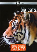 Inside Nature's Giants: Big Cats - David Dugan