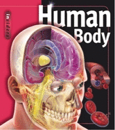 Insiders - Human Body