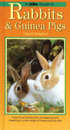 Interpet Guide to Rabbits and Guinea Pigs - Alderton, David