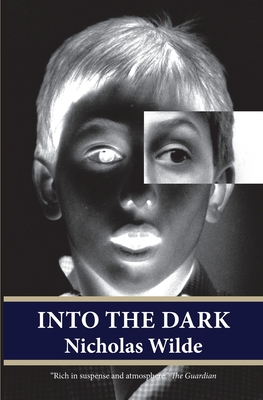 Into the Dark - Wilde, Nicholas