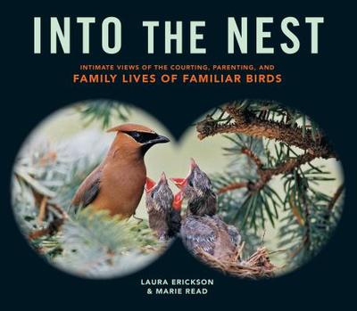 Into the Nest: Intimate Views of the Courting, Parenting, and Family Lives of Familiar Birds - Erickson, Laura, and Read, Marie