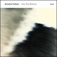 Into the Silence - Avishai Cohen