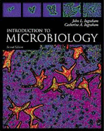 Introduction to Microbiology (with Infotrac and Cogito CD-ROM)