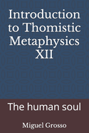 Introduction to Thomistic Metaphysics XII: The human soul