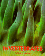 Invertebrates - Kozloff, Eugene N