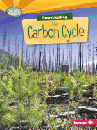 Investigating the Carbon Cycle