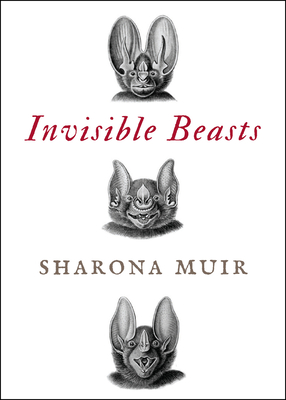 Invisible Beasts: Tales of the Animals That Go Unseen Among Us - Muir, Sharona