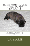 Irish Wolfhound From Puppy to Adult: A Basic Guide to Understanding This Giant Breed