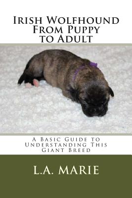 Irish Wolfhound From Puppy to Adult: A Basic Guide to Understanding This Giant Breed - Marie, L a